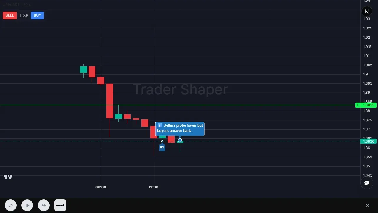 Trader Shaper doji indecision drill: sellers push lower before a small-bodied candle shows buyers answering back
