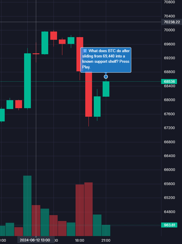 Short video loop showing a lesson breakpoint on the chart